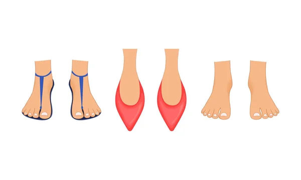 Hermosas piernas femeninas en zapatillas rojas, sandalias de playa de verano y pies desnudos con una pedicura. Ilustración realizada en estilo de dibujos animados. Piernas para el carácter empresarial . — Archivo Imágenes Vectoriales