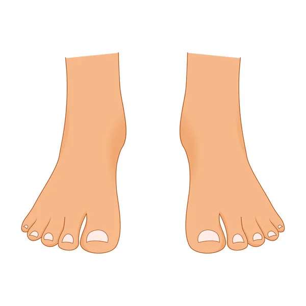 Hermosas piernas desnudas de mujer con una pedicura aislada sobre fondo blanco. Partes del cuerpo femenino atractivo conjunto de vectores de belleza. pie femenino desnudo, belleza mujer pierna ilustración . — Vector de stock