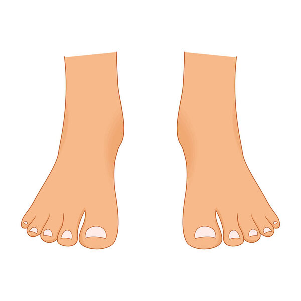 Красивые голые ноги женщины с педикюром изолированы на белом фоне. Женские части тела привлекательный векторный набор красоты. Женская голая нога, женская иллюстрация для ног
.
