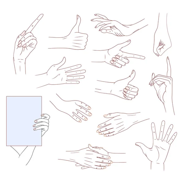 Set hands in different gestures isolated on white background. good skin vector line illustration. Collection emotions, signs. Holding hands. — Stock Vector