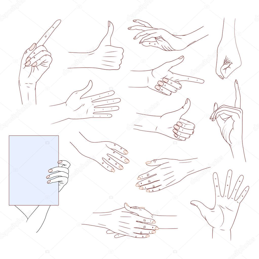 Set hands in different gestures isolated on white background. good skin vector line illustration. Collection emotions, signs. Holding hands.