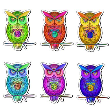 Vektörde çok renkli baykuş etiket seti 