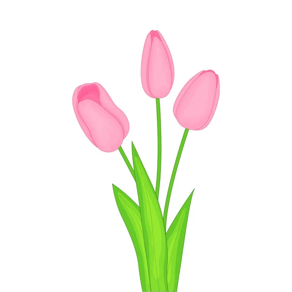 Imagem vetorial de três tulipas rosa sobre fundo branco — Vetor de Stock