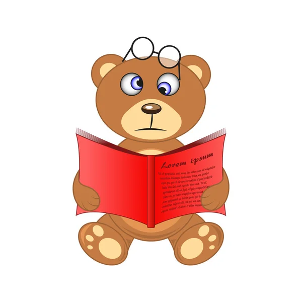 Bear with book in hand on white background — Stock Vector
