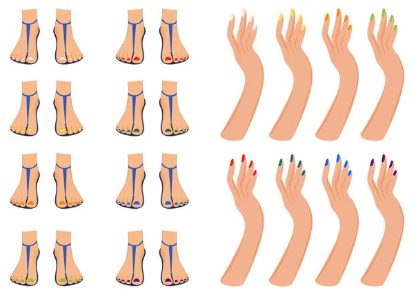 Uppsättning kvinnliga fötter och kvinnliga händer för konstruktören. Tecknad stil. Vektorillustration. — Stock vektor