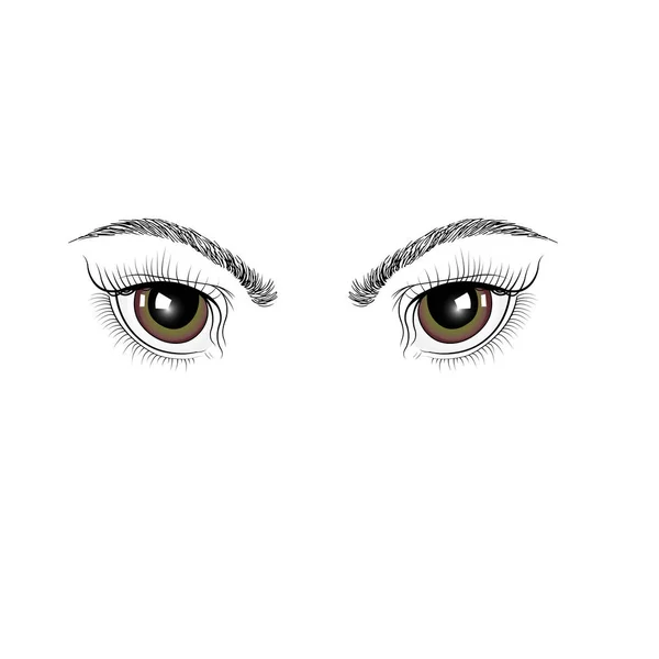 Καστανά μάτια με το χέρι. Απομονωμένα σε λευκό φόντο — Διανυσματικό Αρχείο