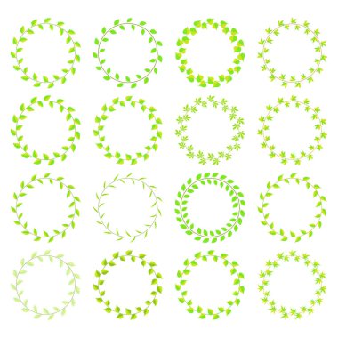 farklı tür çerçeve yeşil yaprakları