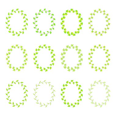 farklı tür çerçeve yeşil yaprakları