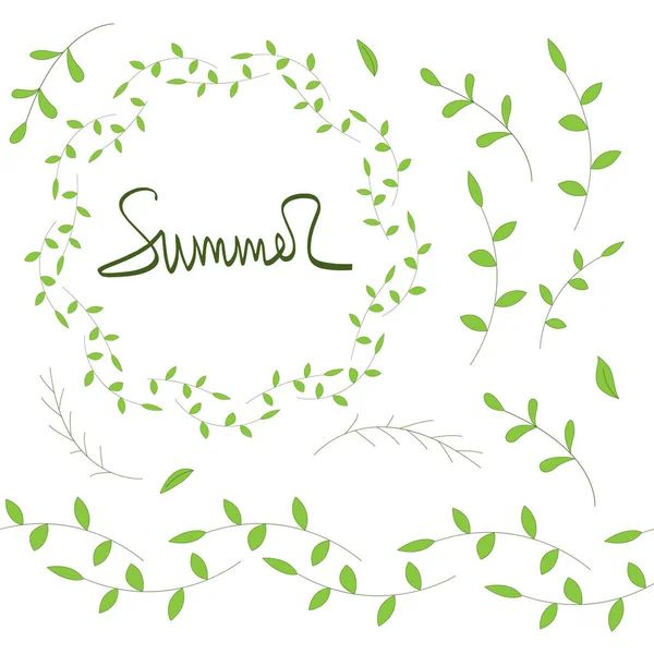 白い背景にはがきや招待状の装飾のための緑の枝のセット。漫画風 — ストックベクタ