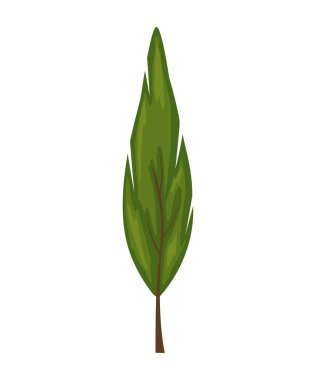 İnşaat ve tasarım için beyaz arka planda bir ağaç. Çizgi film tarzı. Vektör illüstrasyonu.