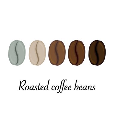 Kavrulmuş kahve çekirdeği. Çizgi film tarzı. Vektör illüstrasyonu.