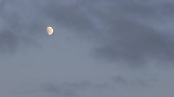 Mond durch die Wolken — Stockvideo