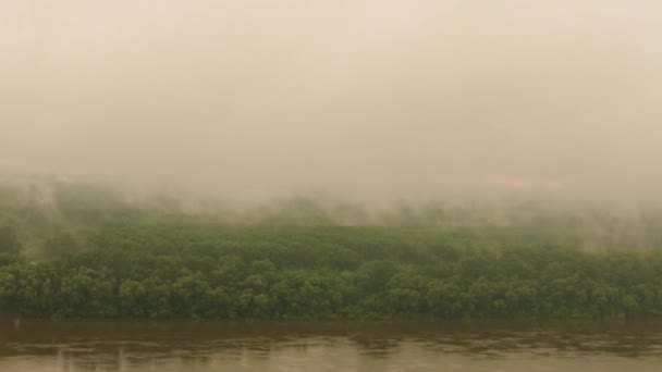 Niebla sobre el río — Vídeo de stock