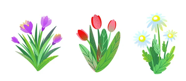 Spring garden flower bouquet set vector background with chamomile, tulip, crocus. Graphic illustration of nature bush plants in simple flat style with dots texture effect — ストックベクタ