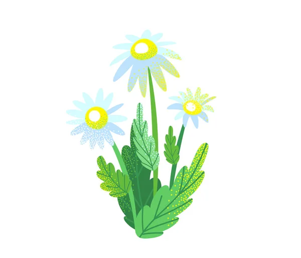 Primavera jardín flores ramo vector fondo con manzanilla aislada en blanco. Ilustración gráfica de plantas de arbustos de la naturaleza en estilo plano simple con efecto de textura de puntos — Vector de stock