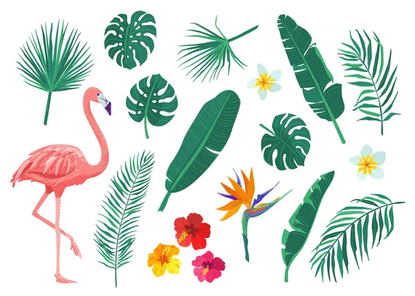 Tropical leaves, flowers vector illustration set. Cartoon flat element with monstera, hibiscus, frangipani, flamingo, strelitzia, banana, palm leaf. Exotic print design isolated on white background — Stock Vector