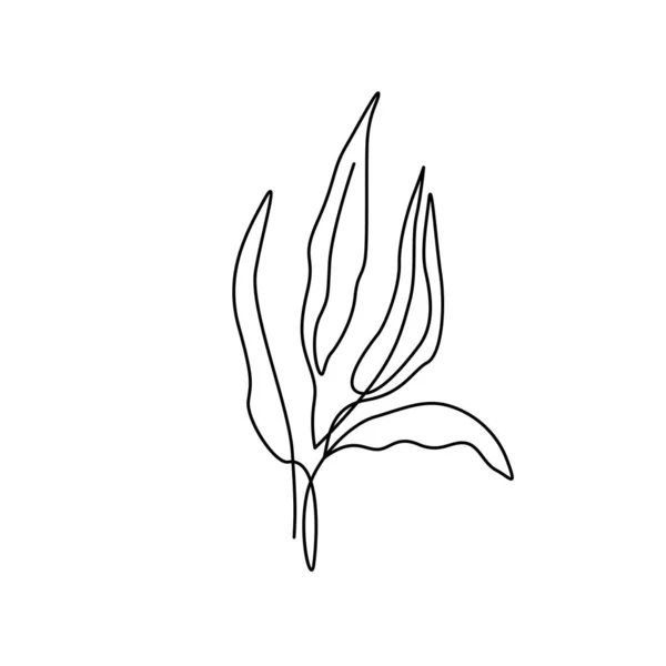 Bela planta em estilo de linha mínima. Moda moderna folhas lineares para logotipo, modelo de emblema. Ilustração vetorial —  Vetores de Stock