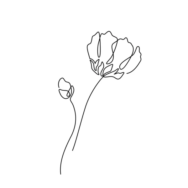 Bela flor em estilo de linha mínima. Moda moderna papoila linear para logotipo, modelo de emblema. Ilustração vetorial — Vetor de Stock