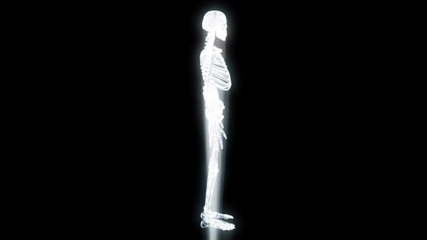 Holograma de Esqueleto Humano en Movimiento. Niza 3D Rendering — Vídeo de stock