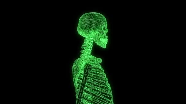 Ologramma di Wireframe dello scheletro umano in movimento. Rendering 3D piacevole — Video Stock