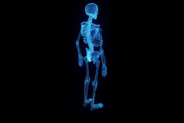 İnsan iskelet Tel Çerçeve hologramı hareket. Güzel 3d render