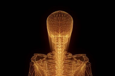 İnsan iskelet Tel Çerçeve hologramı hareket. Güzel 3d render