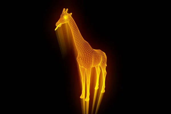 Girafa em holograma Wireframe Style. Boa renderização 3D — Fotografia de Stock