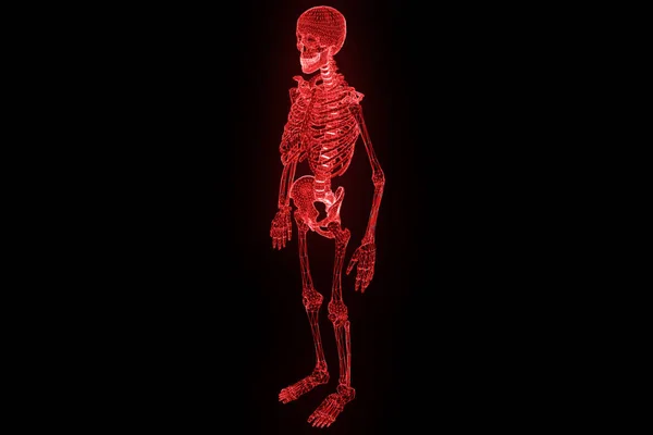 Holograma de Esqueleto Humano en Movimiento. Niza 3D Rendering —  Fotos de Stock