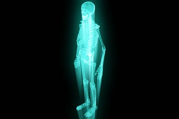 Skeleton Wireframe Hologram in Motion (engelsk). Fin 3D-gjengivelse – stockfoto