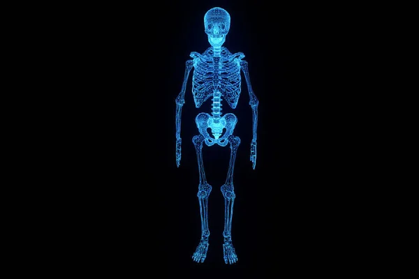 Människans skelett Wireframe Hologram i rörelse. Fina 3d-Rendering — Stockfoto
