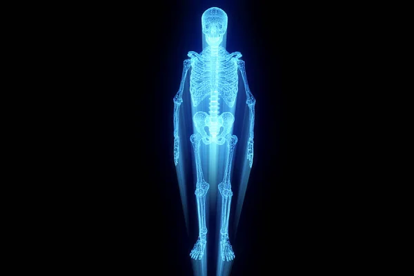 Human Skeleton Wireframe Hologram in Motion. Nice 3D Rendering — Stock Photo, Image