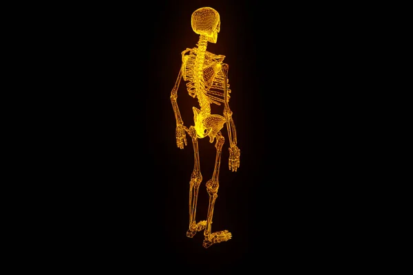 Holograma de Esqueleto Humano en Movimiento. Niza 3D Rendering —  Fotos de Stock