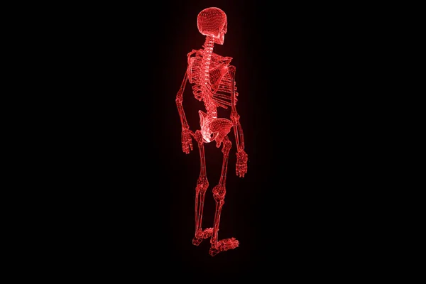 人类的骨架线框中运动全息图。漂亮的 3d 渲染 — 图库照片