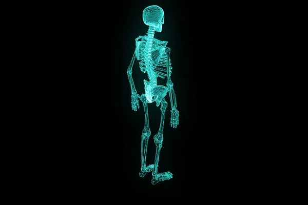 Holograma de Esqueleto Humano en Movimiento. Niza 3D Rendering —  Fotos de Stock