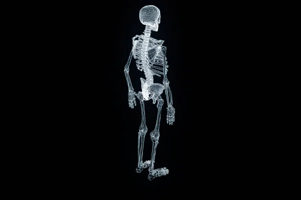 Holograma de Wireframe de Esqueleto Humano em Movimento. Boa renderização 3D — Fotografia de Stock