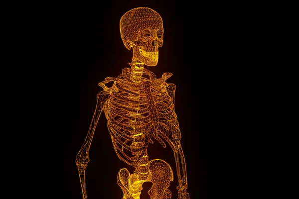 Human Skeleton Wireframe Hologram in Motion. Nice 3D Rendering — Stock Photo, Image