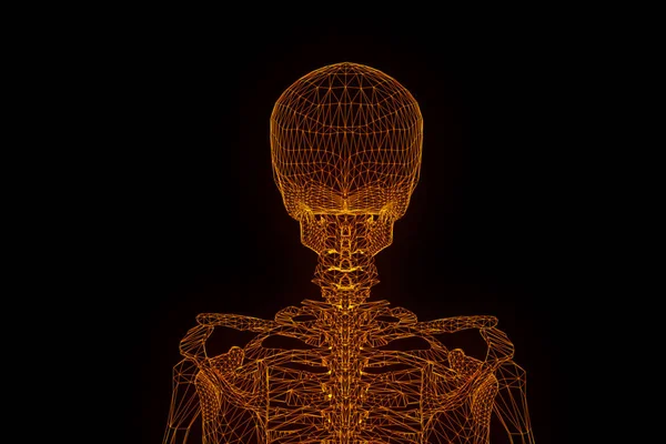 Ologramma di Wireframe dello scheletro umano in movimento. Rendering 3D piacevole — Foto Stock