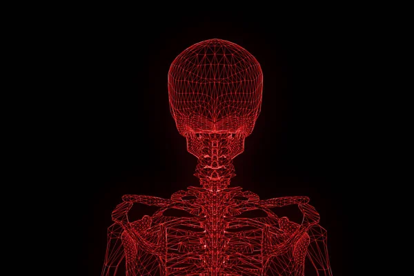 Holograma de Wireframe de Esqueleto Humano em Movimento. Boa renderização 3D — Fotografia de Stock