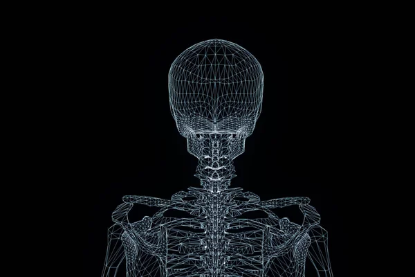 Holograma de Wireframe de Esqueleto Humano em Movimento. Boa renderização 3D — Fotografia de Stock