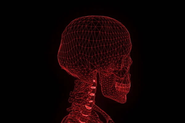 인간의 골격 와이어 프레임 모션에서 홀로그램입니다. 멋진 3d 렌더링 — 스톡 사진