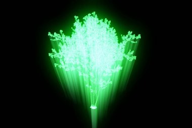 Ağaç bitki Tel Çerçeve hologramı tarzı. Güzel 3d render