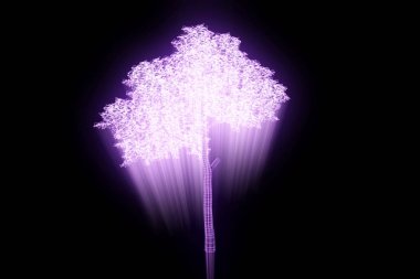 Ağaç bitki Tel Çerçeve hologramı tarzı. Güzel 3d render