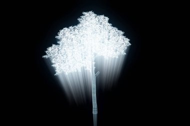 Ağaç bitki Tel Çerçeve hologramı tarzı. Güzel 3d render