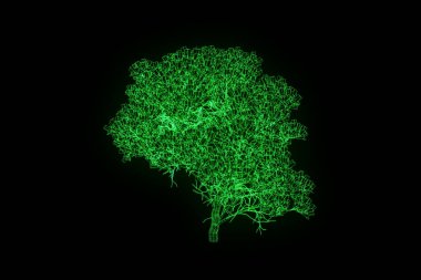 Ağaç bitki Tel Çerçeve hologramı tarzı. Güzel 3d render