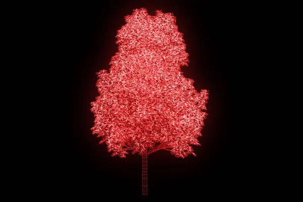 Plante d'arbre dans le style d'hologramme de Wireframe. Belle rendu 3D — Photo