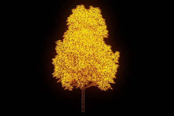 Planta de árbol en estilo holograma Wireframe. Niza 3D Rendering — Foto de Stock