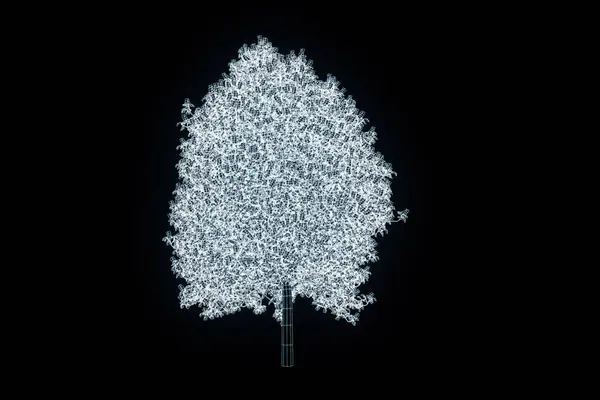 Ağaç bitki Tel Çerçeve hologramı tarzı. Güzel 3d render — Stok fotoğraf