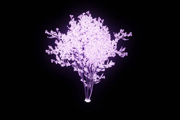 Planta de árbol en estilo holograma Wireframe. Niza 3D Rendering — Foto de Stock