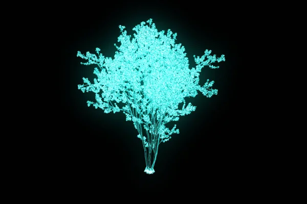 在线框全息图样式树植物。漂亮的 3d 渲染 — 图库照片