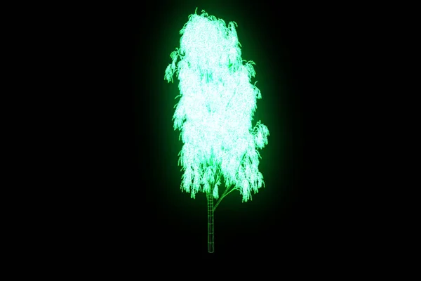 Δέντρο φυτό σε στυλ Wireframe ολόγραμμα. Ωραία 3d Rendering — Φωτογραφία Αρχείου